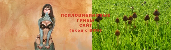 спайс Горнозаводск