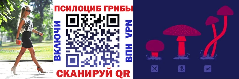 сколько стоит  Ульяновск  Галлюциногенные грибы GOLDEN TEACHER 